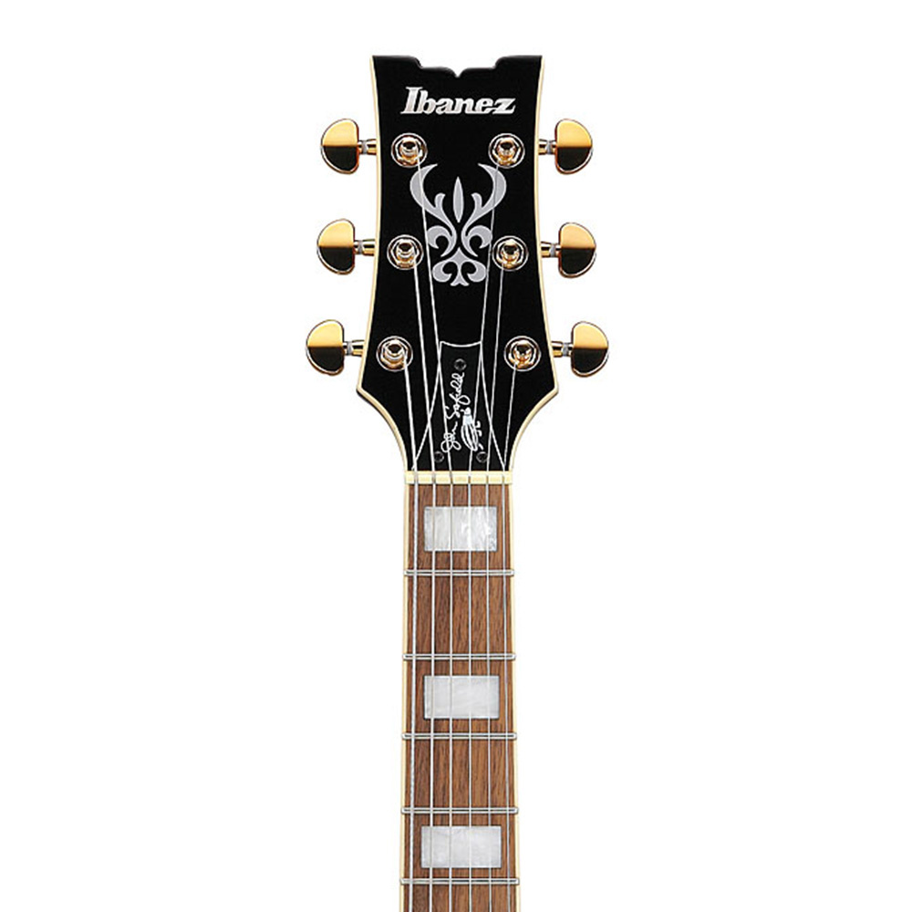 Ibanez JSM10EM-TTM John Scofield Signature Serisi Hallow Body